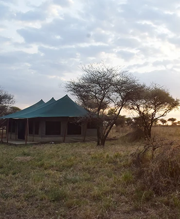 Serengeti Camp