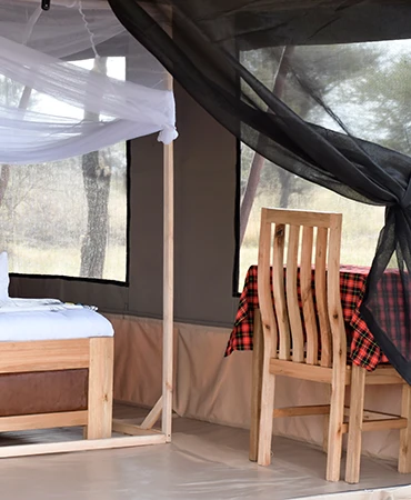 Serengeti Camp